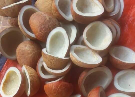 Premium dried style copra kernel prepared for oil extraction
