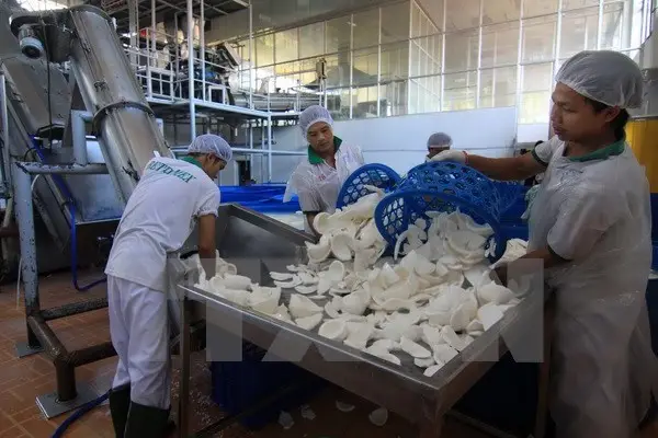 Quality check on the virgin coconut oil line at the Cocopany facility in Central Java
